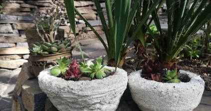 A kertem én vagyok! A kertünk mi vagyunk!